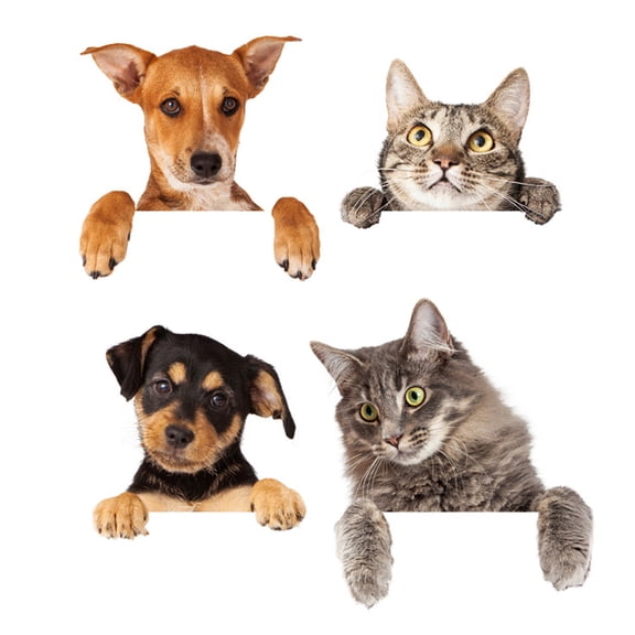 Cute 3D Cat And Dog Switch Stickers PVC Removable Wall Sticker Vinyl For Bedroom Living Room Home Decor Decals Socket Paste