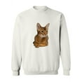 thumbnail image 1 of Cute Abyssinian Cat Looking Left Sweatshirt Women -Image by Shutterstock, Female Large, 1 of 4