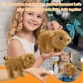 thumbnail image 1 of (Cute Adorable Groundhog Plush Bracelet Toy With Pat Circle Design, Soft Plush And Pp Cotton Stuffed, Perfect Children's Gift For Play Collecting Decor), 1 of 6