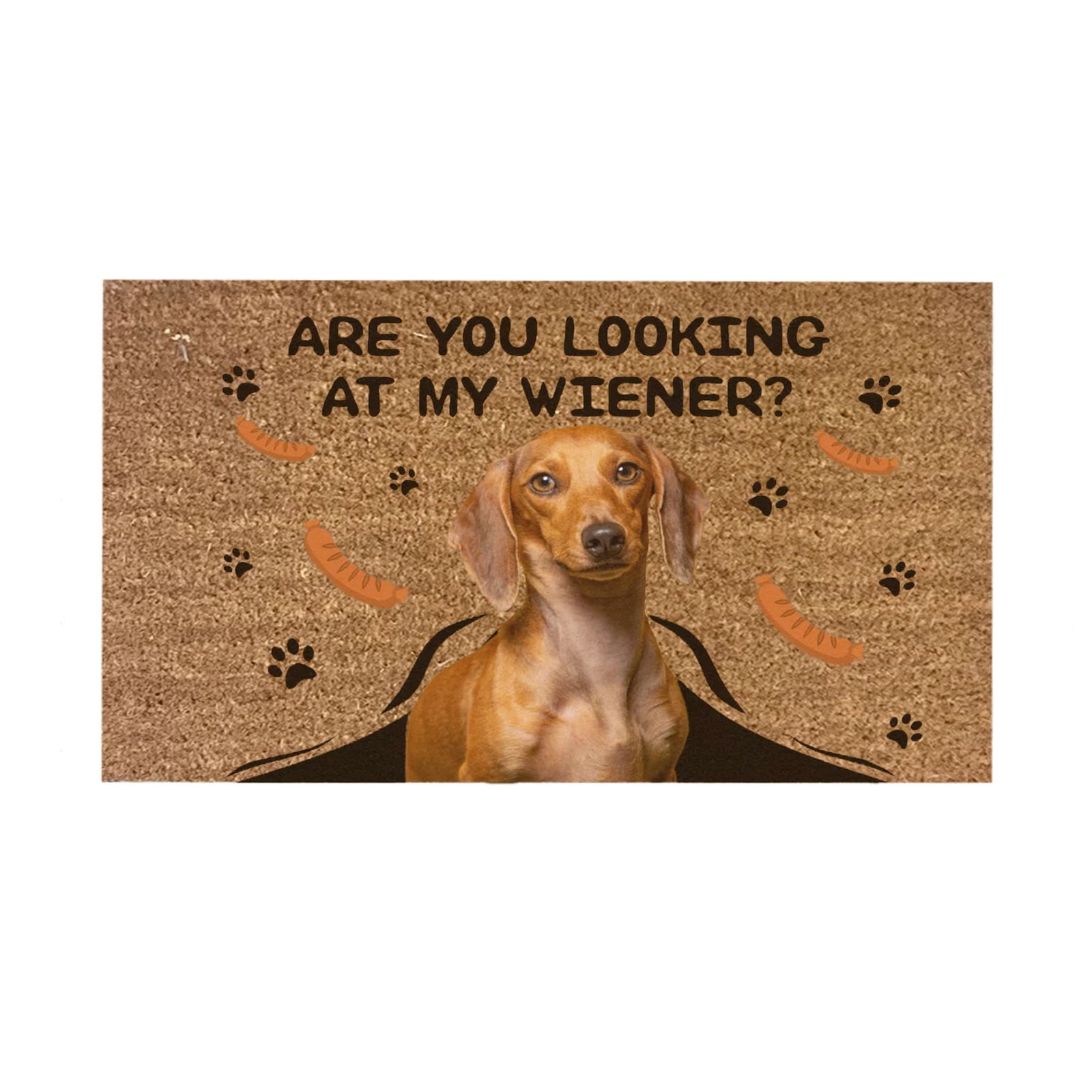 THENEWS Cute And Funny Dog Mat For Doorway Decorative Mat For