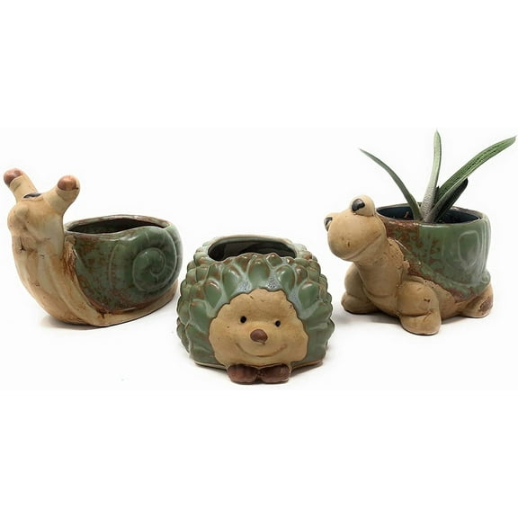 Cute Animal Succulent Planter Pots 3 Pack Turtle Planter Snail Pot Porcupine Planter with Drainage Hole for 2" Small Plants