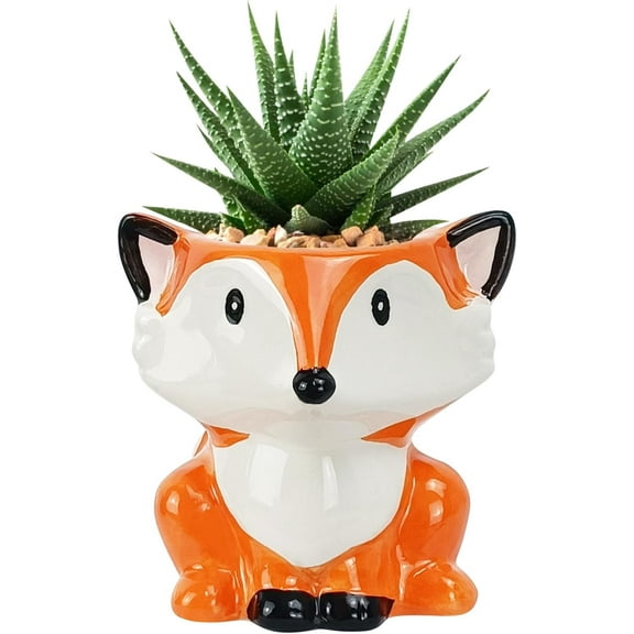 Cute Animal Succulent Pot, Ceramic Animal Planter, Small Flower Pot for Home Decor Gifts