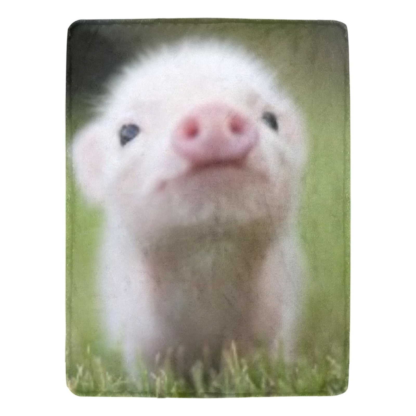 Cute Baby Piglet Plush Fleece Blanket, 60x80 Inch, 3-Pack, Ultra