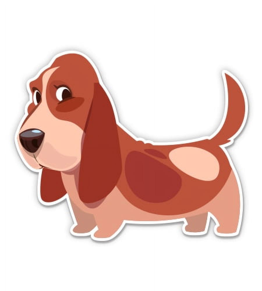 Cute Basset Hound 8