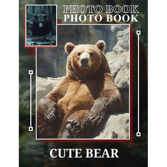 Cute Bear Photo Book: Adorable Collection Of 40 Charming Images Featuring Bears For All Ages, (Paperback)