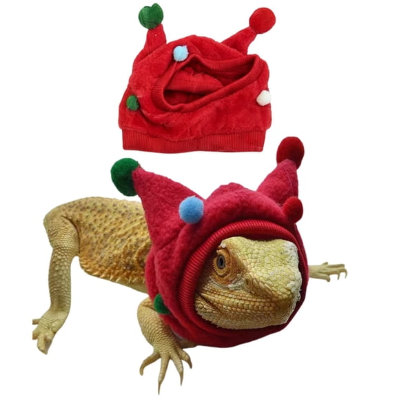 Cute Bearded Dragon Horn Hat & Neck Warmer, Soft Fleece Lizard Costume for Small Reptiles, Daily & Festival Photo Prop for Holiday Events Christmas Birthday