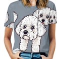 thumbnail image 1 of Cute Bichon Dog T-Shirt O Neck Oversize T-Shirts Short Sleeve Classic Tees Women Summer Graphic Tops, 1 of 5