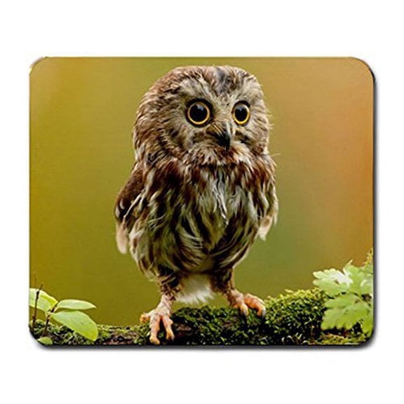 Cute Big Eyed Owl Mouse pads Gaming Mouse Pad 9.84x7.87 inches