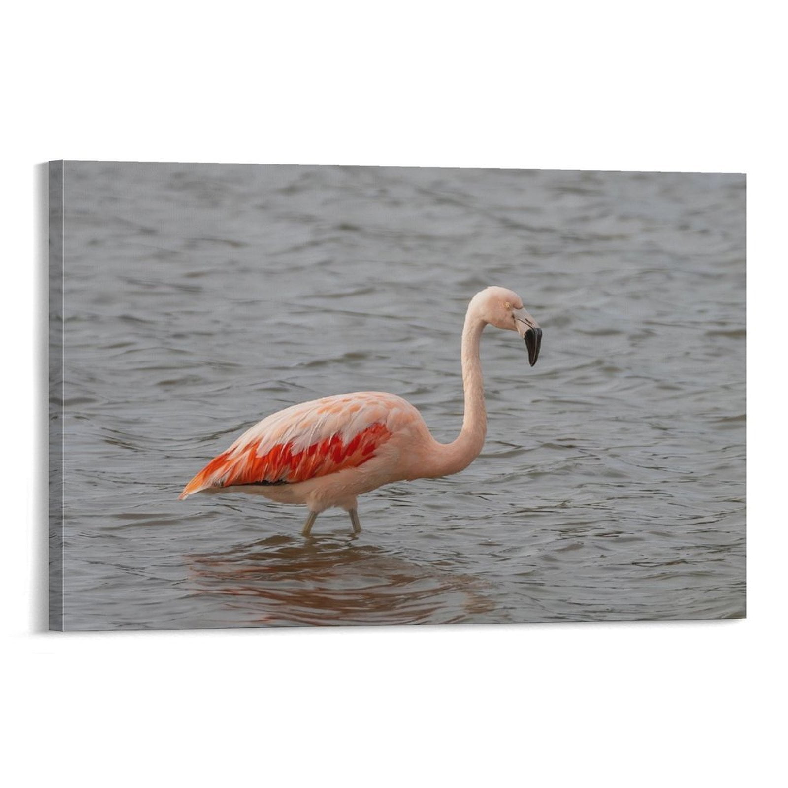 Cute Bird Animalb Painting On Canvas Wall Art Poster Scroll Picture