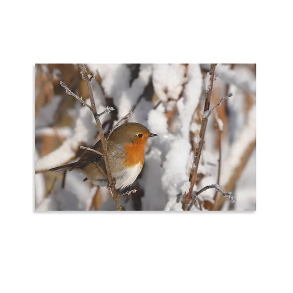 Cute Bird Animal-f Poster Cool Artworks Painting Wall Art Canvas Prints Hanging Picture Home Decor Posters Gift 08x12inch(20x30cm)