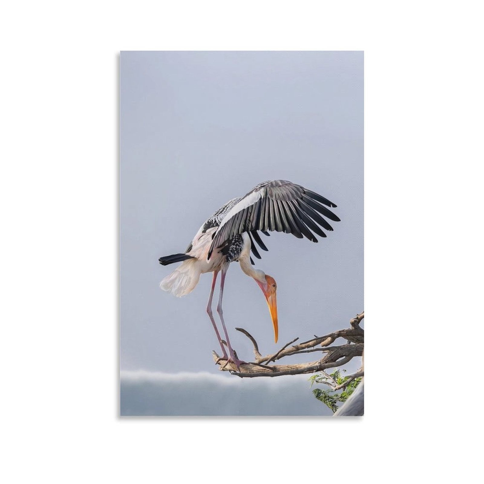 Cute Bird Animals Artworks Canvas Poster Room Aesthetic Wall Art