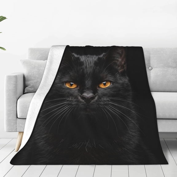 Cute Black Cat Blanket Gifts, Black Cat Flannel Throw Blanket, Soft Fuzzy Cozy Blanket for Cat Lovers, Home, Sofa, Couch, Bed Decor 50x40