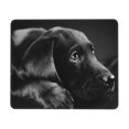 Cute Black Labrador Dog Mousepad Mouse Pad Mouse Mat With Non Slip
