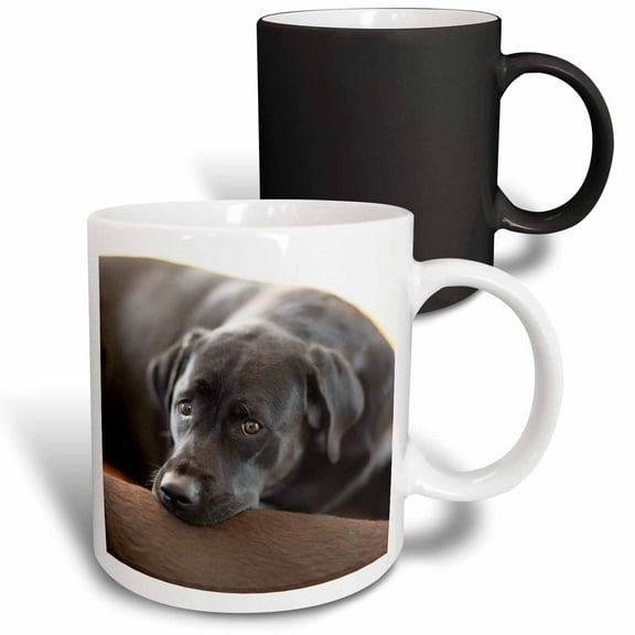 3drose, Cute Black Labrador Retriever Face Pet Dog Photo, 11oz Magic Transforming Mug