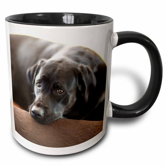 3drose, Cute Black Labrador Retriever Face Pet Dog Photo, 15oz Two-tone Black Mug