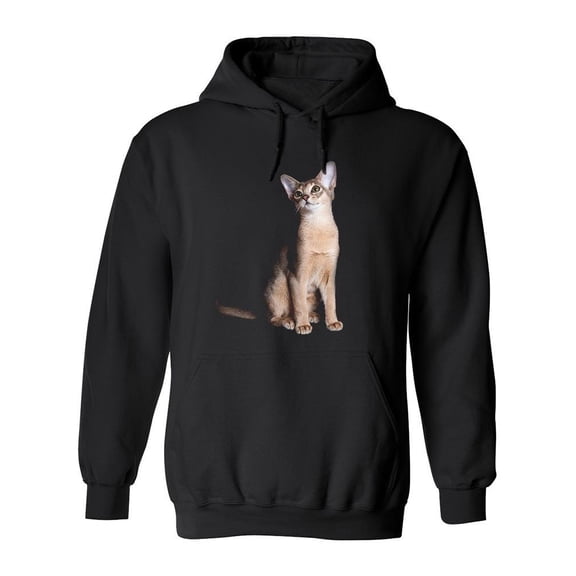 Cute Blue Abyssinian Cat Hoodie Men -Image by Shutterstock, Male XX-Large