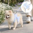 thumbnail image 1 of Cute Bow Cats & Dogs Harness And Leash Set,Escape Proof Adjustable Sweet Lace Gradient Bowknot Pet Vest Harness For Kitten Small Dog Walking Outdoor,S, 1 of 5