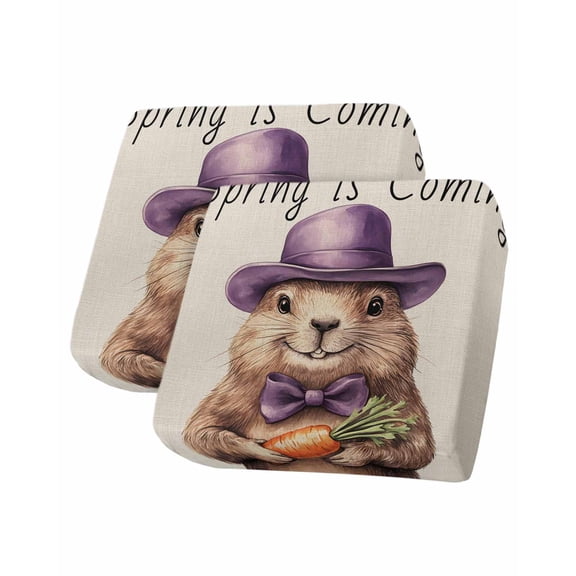 Cute Broaw Animal Sofa Couch Cushion Covers Washable, Removable Stretchable Sectional Couch Covers, Groundhog Festival Pastoral Carrot Slipcovers for L & T Shape Sofa Furniture Protector S Size 2 pcs