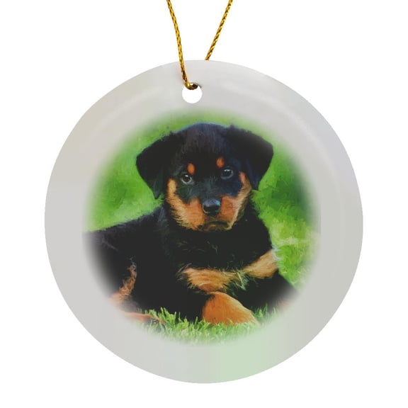 3drose, Cute Brown and Black Rottweiler Puppy Dog in the Grass Painting, Circle Porcelain Ornament