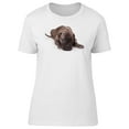 thumbnail image 1 of Cute Brown Cane Corso Puppy Tee Women's -Image by Shutterstock, 1 of 4