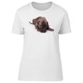 thumbnail image 1 of Cute Brown Cane Corso Puppy T-Shirt Women -Image by Shutterstock, Female x-Large, 1 of 4