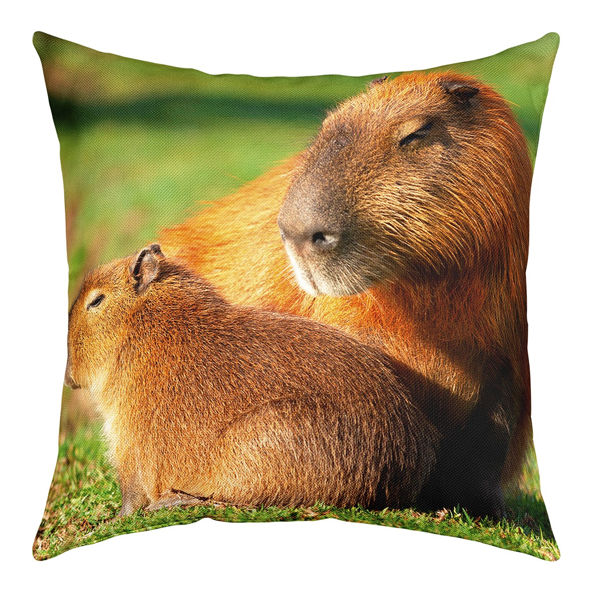 Cute Capybaras Throw Pillow Cover 18x18 Inch,Kawaii Relaxing Capybara