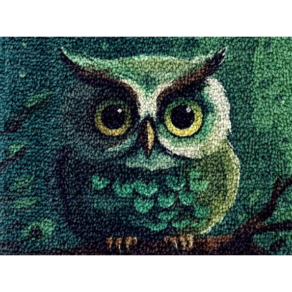 Cute Cartoon Owl Latch Hook Kits Rug DIY Cushion Tapestry Making Crochet Hook Mat Making Kits Color Preprinted Pattern Canvas DIY Carpet Needlework Crochet Kits 52x38cm (d99-93)