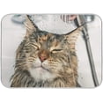 thumbnail image 1 of Cute Cat Animal Absorbent Bath Rugs Entry Doormats Durable Indoor Doormat Front Back Door Mat Non Slip Floor Mat for Kitchen Living Room Bathroom Mats 16x24 inch, 1 of 5