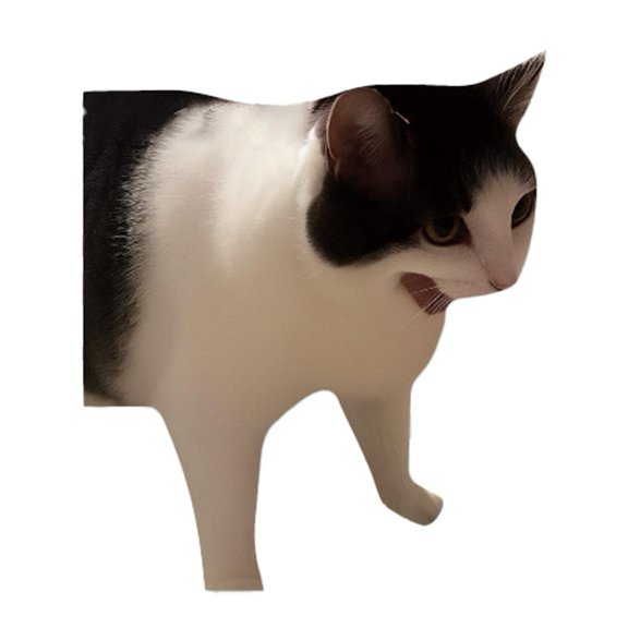 Cute Cat Expression Waterproof Stickers for Cups, Notebooks, Phone Cases - Kids Decor