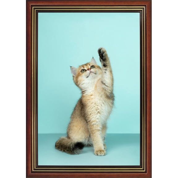 Cute Cat Framed Wall Decor | Wooden Frame with Glass | 40x30 cm