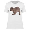 thumbnail image 1 of Cute Cat Looking At The Ground T-Shirt Women -Image by Shutterstock, Female x-Large, 1 of 2