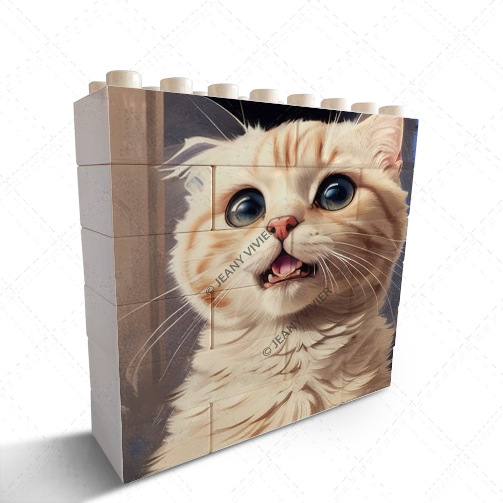 Cute Cat Novelty Decorative Sign/Plaque Desk Decor Cat Gifts for Cat