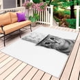 thumbnail image 1 of Cute Cat Outdoor Rug 5x8 Ft, Non Slip Washable Area Rug, Funny Animal Toilet Paper Abstract Art Patio Rugs Carpet Runner, Large Floor Mat for Indoor/Outdoor Deck Porch Camping, 1 of 8