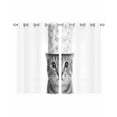 thumbnail image 1 of Cute Cat Sheer Curtains 39 Inch Length 2 Panels Set for Living Room/Bedroom, Funny Animal Toilet Paper Abstract Art Kitchen Curtains Grommet Semi-Sheer Curtains Drapes Window Treatments 27.5"x39"x2, 1 of 7