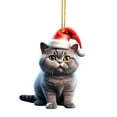 thumbnail image 1 of Cute Cats Christmas Hat Ornament, Acrylic Car Tree Decoration with Long-Lasting Color, Double-Sided Design, Festive Gift for Family Friends Holiday Cheer, 1 of 2