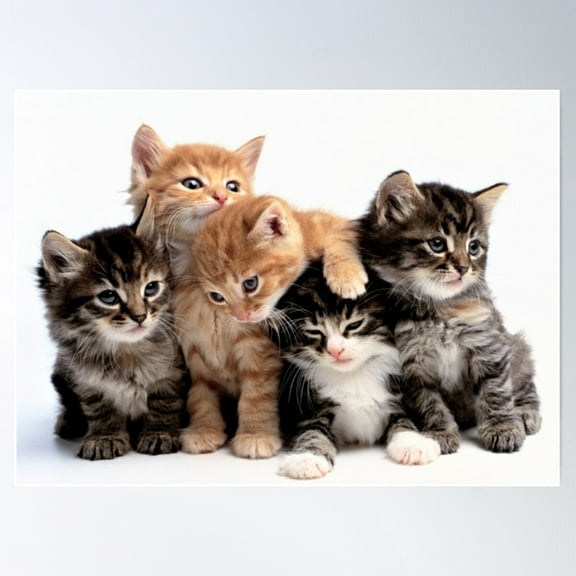 Cute Cats Fluffy Kitten Poster Wall Art, Modern Wall Decor For Living Room Bedroom, 8x12 UNFRAMED