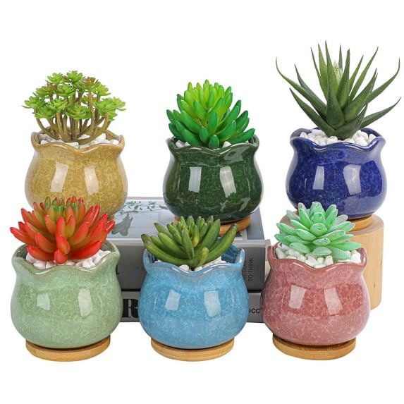 Cute Ceramic Succulent Garden Pots, Planter with Drainage and Attached Saucer, Set of 6 -Plants Not Included