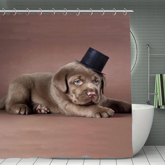 Cute Chocolate Labrador Dog Shower Curtain，Washable Waterproof Bathroom Shower Curtain Set With Hooks,71x71 Inch