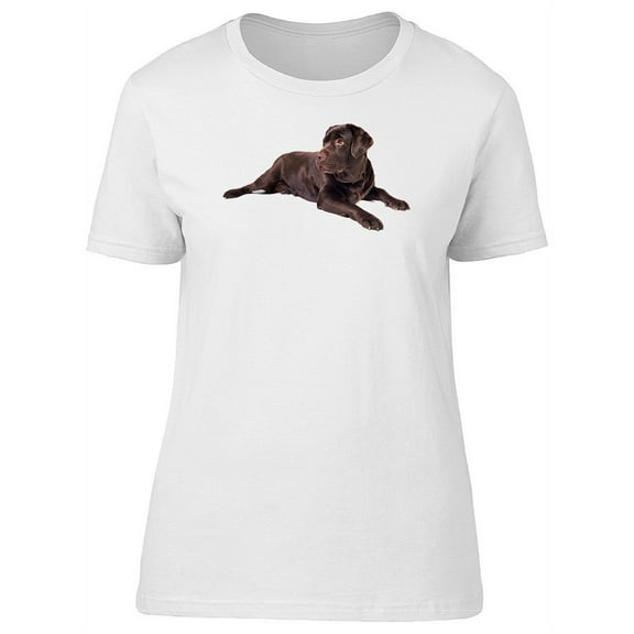 Cute Chocolate Labrador Dog T-Shirt Women -Image by Shutterstock, Female Medium