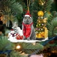 thumbnail image 1 of Cute Christmas Acrylic Cat Ornament, Small Hanging Pendant For Christmas Tree, Adorable Cat Design & Lightweight Acrylic Material, Perfect For Cat Lover Gifts, 3.14*2.75in, G, 1 of 5