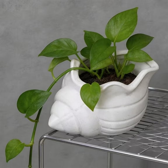 Cute Conchs Shaped Planter, Seashell Flower Pot With Drainage Hole, White Plastic Container, 4.132.4in, Decorative Home Garden Ornament for Indoor Use