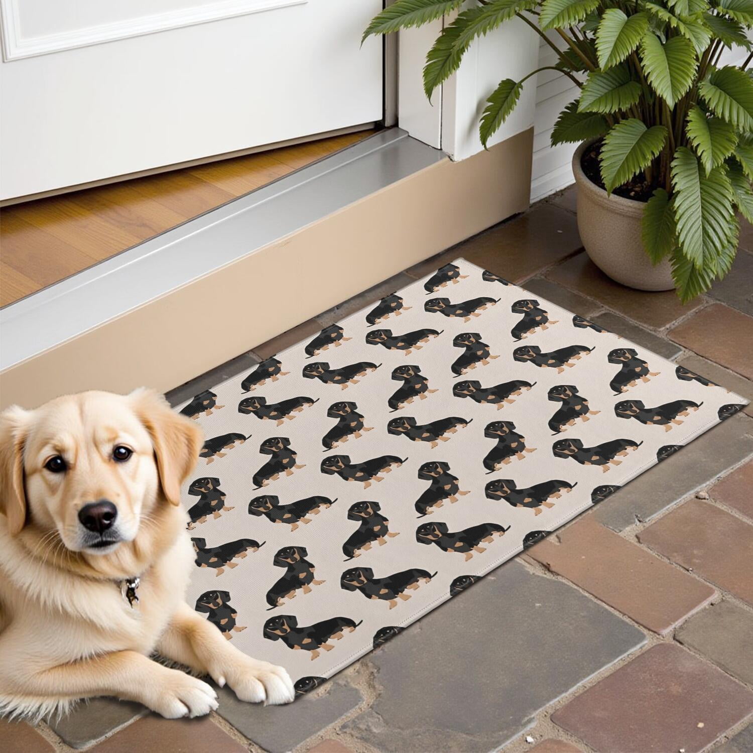 Cute Dachshund Door Rugs,Washable Non Slip Door Mats Indoor,Decorative