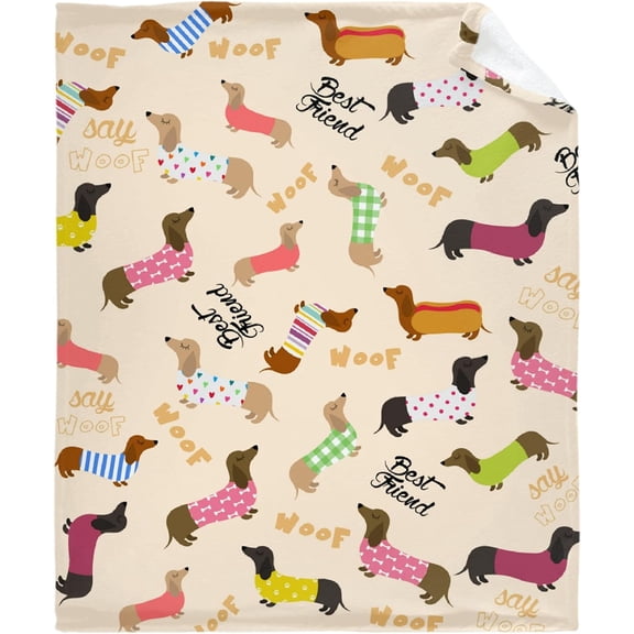 Cute Dachshund Flannel Fleece Bed Blanket Throw Blanket Lightweight Cozy for Bedroom All Season Sofa Decor Gift 40x30 inch for Pets