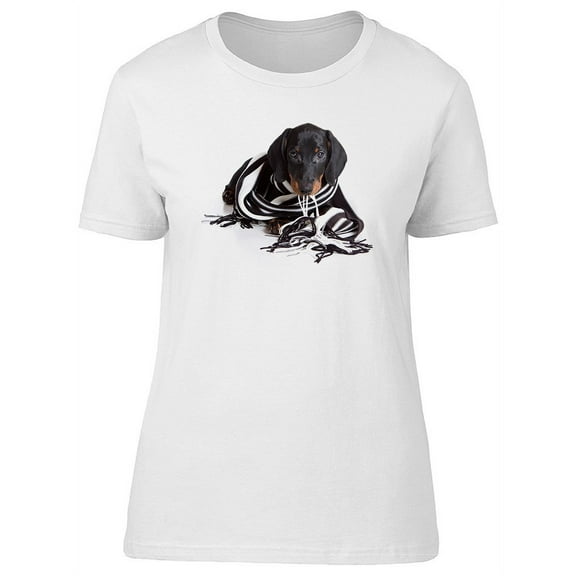 Cute Dachshund Puppy With Scarf T-Shirt Women -Image by Shutterstock, Female XX-Large