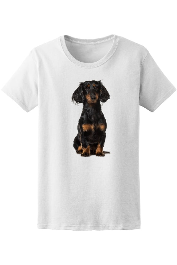 Cute Dachshund Sitting T-Shirt Men -Image by Shutterstock, Male 3X-Large