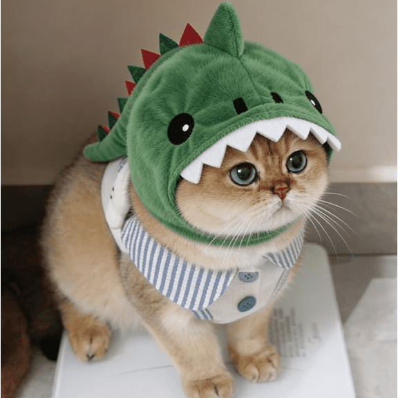 Cute Dinosaur Cat Hat, Whimsical Cartoon Pet Headgear, 2026 Novelty Fancy Dress Accessory, Adorable Dinosaur Decor for Daily Outfit and Holiday Party Use