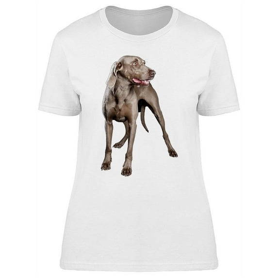 Cute Distracted Weimaraner T-Shirt Women -Image by Shutterstock, Female Medium