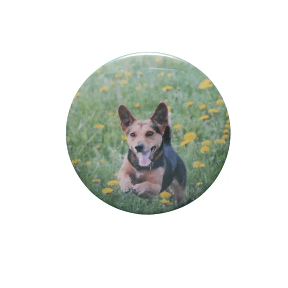 Cute Dog