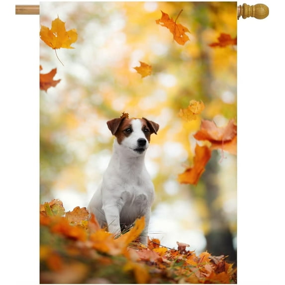 Cute Dog Red Yellow Orange Autumn Leaves Maple Leaf Fall Scenery Seasonal House Flag 28" x 40" Double Sided Polyester Welcome Large Yard Garden Flag for Patio Lawn Home Outdoor Decor