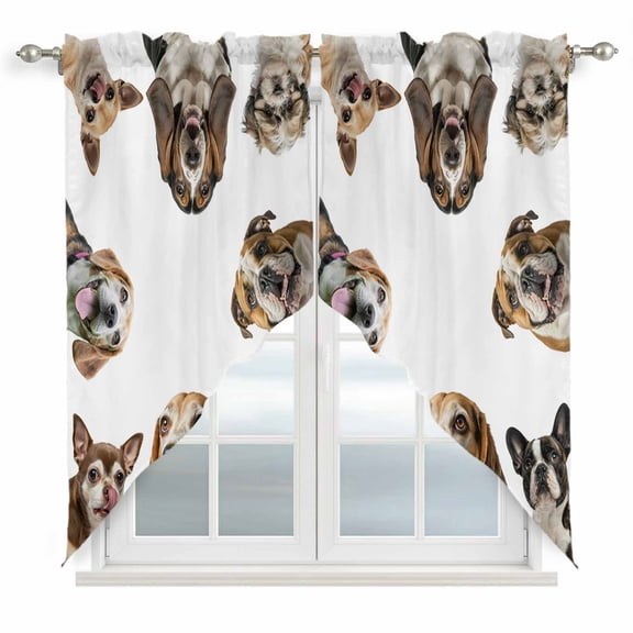 Cute Dogs Swag Valances for Windows, Kitchen Curtains 36 Inch Length 2 Panels Set, Animals Gypsies Bulldog Cattledogs Modern Art Short Curtains for Small Windows Rod Pocket Cafe Curtains 28"x36"